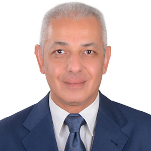 Mr. Ahmed ElShaffee